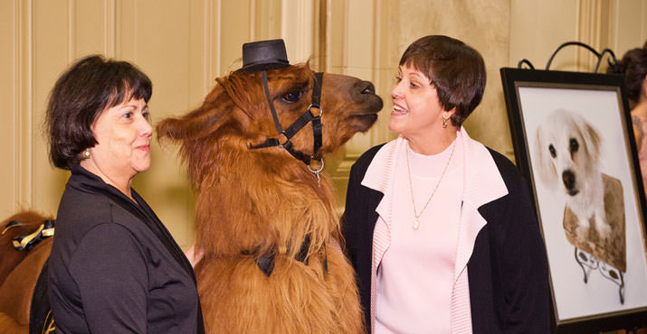 Who could resist having their photo snapped with a llama?