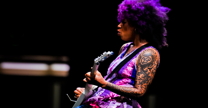 The 2012 Power of the Purse was opened with a wailing guitar solo by Bibi McGill. Bibi is the musical director, and guitarist for Beyonce’s all female band Suga Mama. She is also the CEO and Founder of Bibi Kale Chips.
