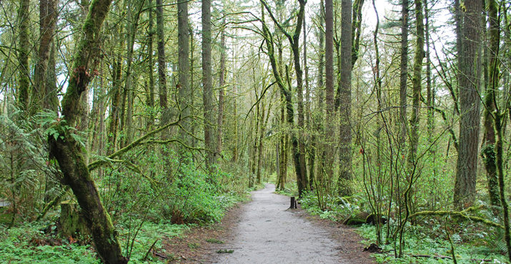 The Friends of Tryon Creek was founded in1969 by a group of forward-thinking individuals who came together to preserve a unique and historic forested canyon between Lake Oswego and Portland and turn it into a park. 