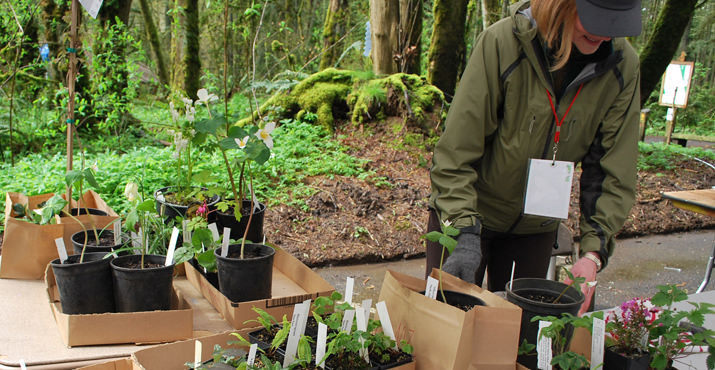 Every spring leading nurseries from around the state come to Tryon Creek with a large range of native northwest plant inventory available for purchase.