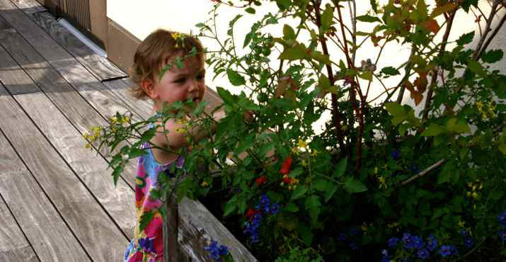 Baby May had a wonderful time looking throughout the terrace at the growing tomatoes and blueberries.