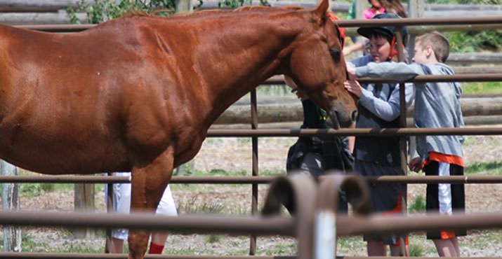 Favorite activities, like horse riding, engage visitors.