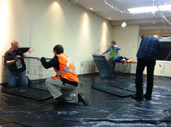 On Wednesday, volunteers work to get ready for pets at the emergency shelter.