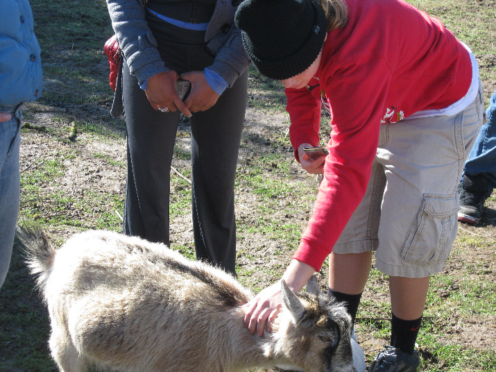 Gioia spends some time with the goats