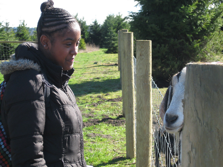 Nailah appreciates  one of the curious goats