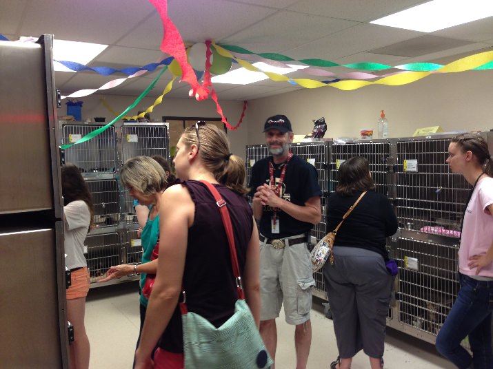  A total of 68 cats and kittens found their families during Cat Adoption Team's Kitten Palooza on June 29.