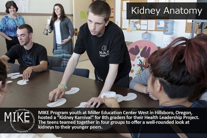 "Kidney Anatomy" is one aspect of the educational program.
