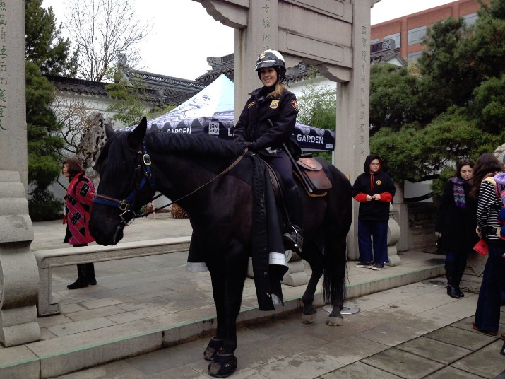 The Portland Police Mounted Patrol Unit  stopping by to say hello for the Year of the Horse.