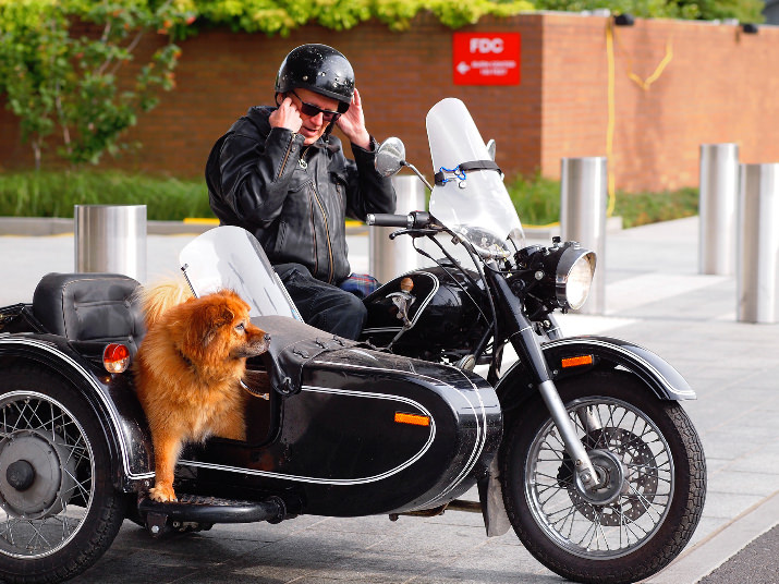 So happy to see 14-year-old Pup in the ride again this year – his fifth ride!