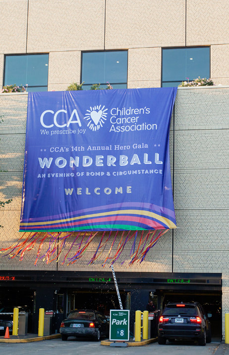 Welcome to the 14th Annual CCA Hero Gala: Wonderball! 