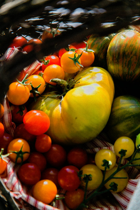 Dennis’ 7 Dees owner David Snodgrass featured his own heirloom tomatoes for a unique tomato-tasting. Guests walked around the beautiful grounds and shopped in the garden store where proceeds from the evening’s sales went towards the new Garden Program. T