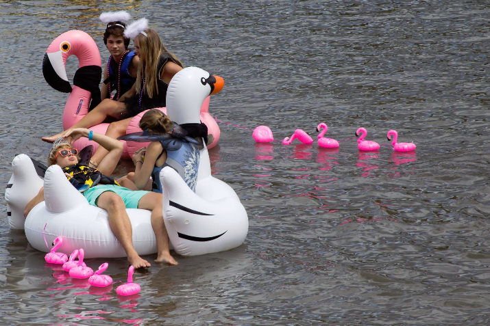 This group favored flamingos and swans for the afternoon on the Willamette. 