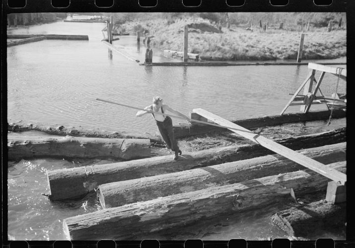 Lumberjack forming log raft in slough, Tillamook, Oregon