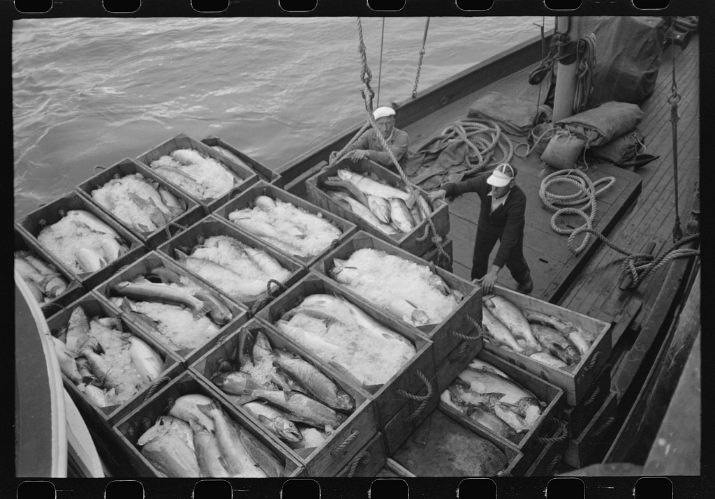 Unloading boxes of salmon from fishing boat at docks of Columbia River Packing Association, Astoria, Oregon