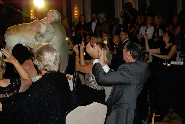 Howard Hedinger's dog, Hero finds his master in the fashion show audience. 