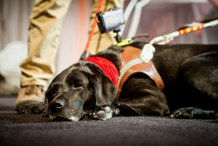 Tennille rests on stage at the event.