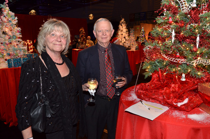Rita and Fred Donnelly browse the silent auction at the 2015 Festival of Trees gala