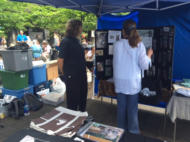 There's also always a space reserved for nonprofits like Wildcat Ridge big cat sanctuary.