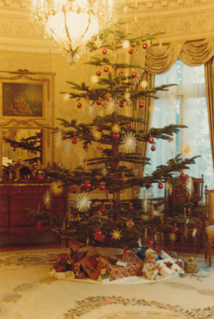 1983 - Tree in the Music Room in 1983