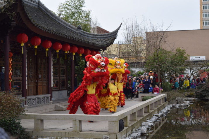 Lion dancers from the N.W. Dargon and Lion Team welcomed the Year of the Rooster.