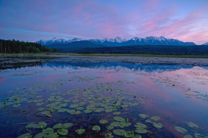 Purcell Mts reflect in calm water near Spillimacheen, BC.