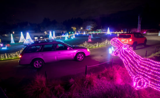 Experience The Oregon ZooLights Like Never Before