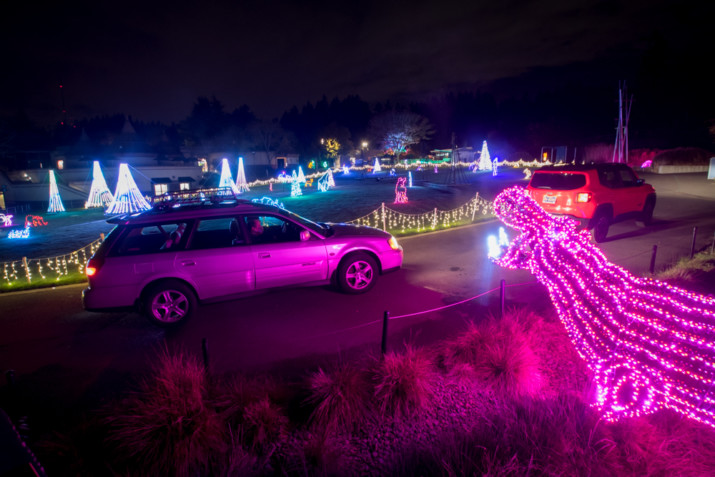 Experience The Oregon ZooLights Like Never Before