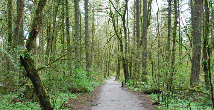 The Friends of Tryon Creek was founded in1969 by a group of forward-thinking individuals who came together to preserve a unique and historic forested canyon between Lake Oswego and Portland and turn it into a park.