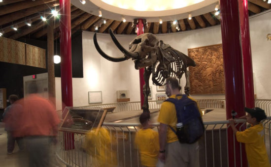 Oregon Zoo’s Mastodon skeleton Heading Back to Smithsonian’s National Museum of Natural History