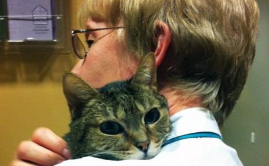 World Spay Day in Oregon Dubbed “2013: A Spay Odyssey”