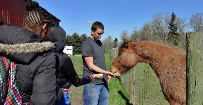 Michael feeds Daisy another apple! She loved them!