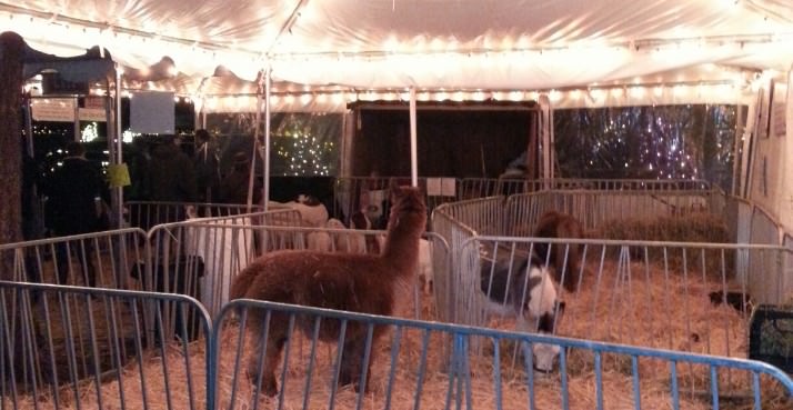 petting zoo