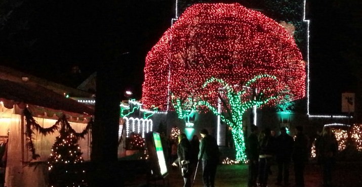 The Festival of Lights is a walk through event and visitors can expect to walk approximately one quarter mile. All entertainment areas are either indoors or fully tented but visitors should dress for the weather.