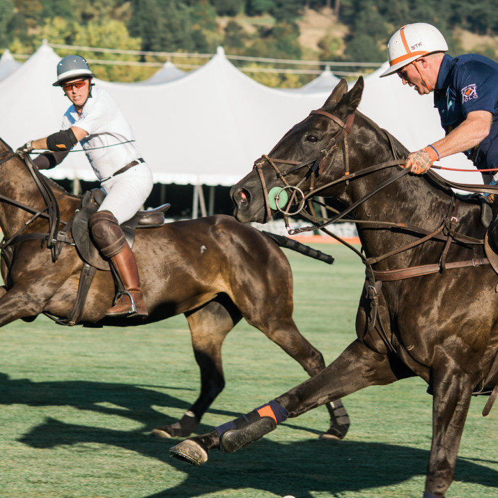 The daylong event at Hidden Creek Polo Club featured several polo matches, Oregon wines, food and music.