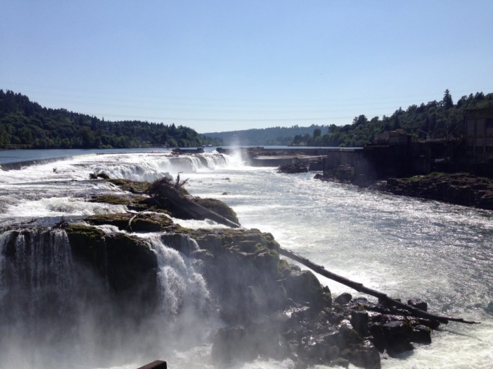 Willamette Falls Trust Continues to Engage Community