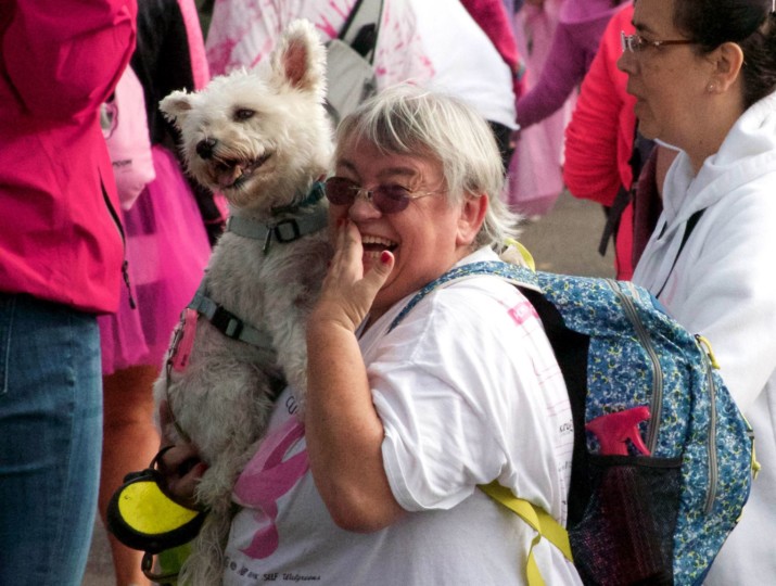 Dogs Joined Human Companions at Susan G. Komen Race for the Cure