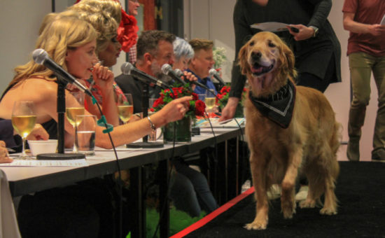 Oregon Humane Society Seeks Heroes to Honor