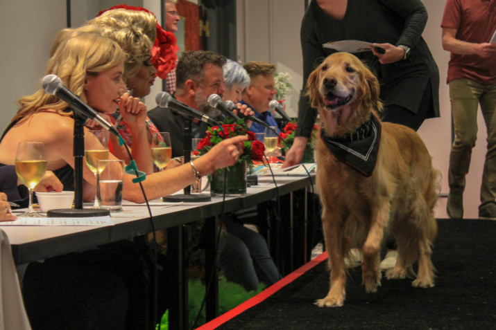 Oregon Humane Society Seeks Heroes to Honor