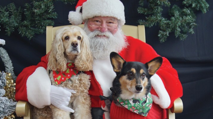 Santa Paws is Coming to Town and the Oregon Humane Society is Benefiting