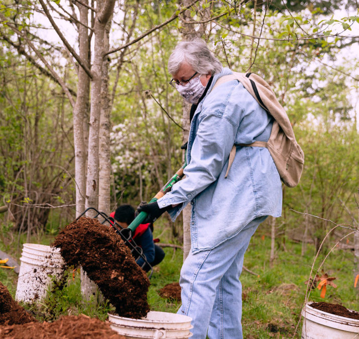 Pandemic Causes Friends of Trees to Pivot