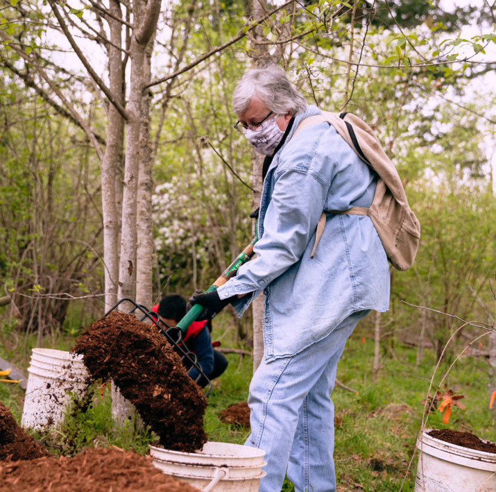 Pandemic Causes Friends of Trees to Pivot