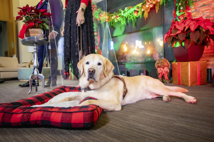 Guide Dogs for the Blind Hosts Virtual Holiday Celebration