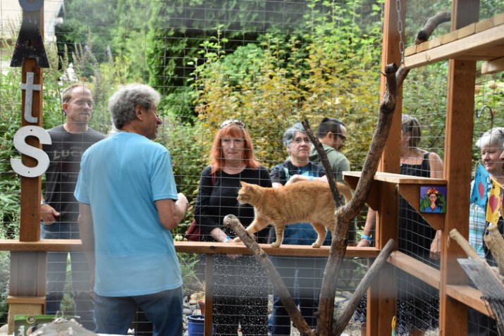 Feral Cat Coalition Holds Showcase of Kitty-Friendly Outdoor Play Enclosures